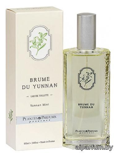 Brume du Yunnan