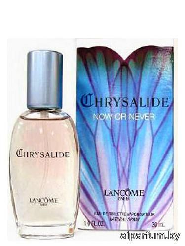 Chrysalide Now or Never