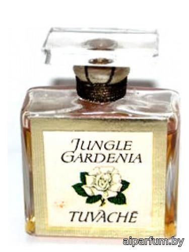 Jungle Gardenia