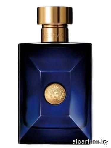 Versace Pour Homme Dylan Blue