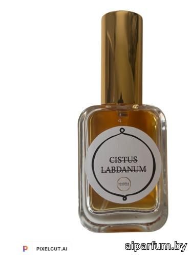 Cistus Labdanum