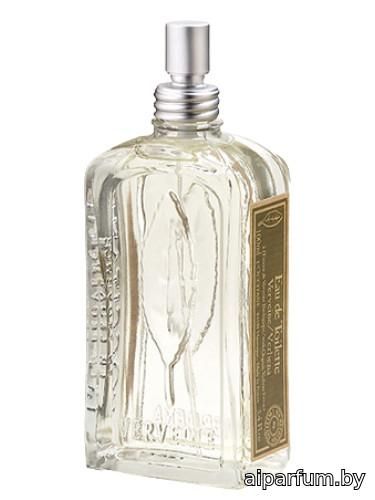 Verveine