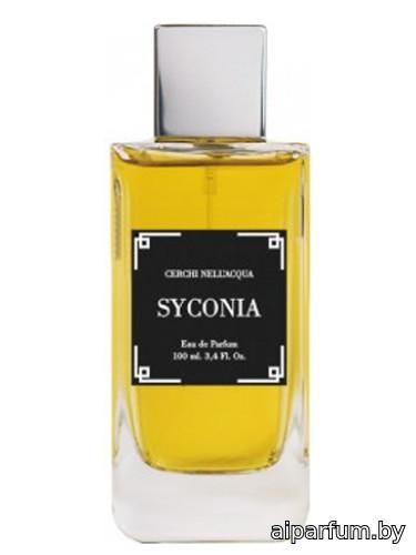 Syconia