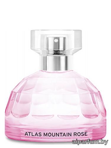 Atlas Mountain Rose
