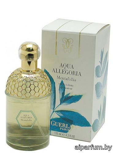 Aqua Allegoria Mentafollia