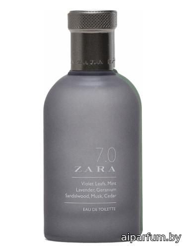 7.0 Zara