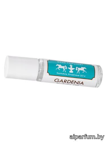 Soliflore Gardenia