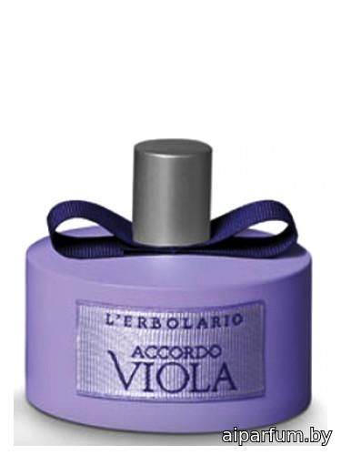Accordo Viola